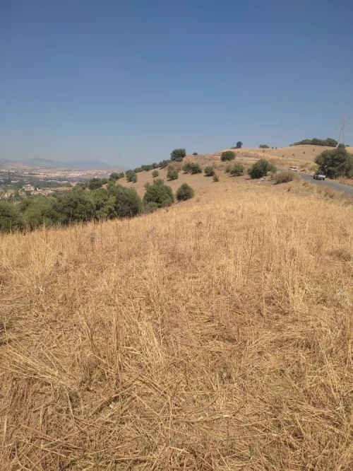 Vente Terrain Tizi Ouzou Larbaa nath irathen