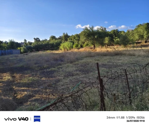 Vente Terrain Tizi Ouzou Azazga
