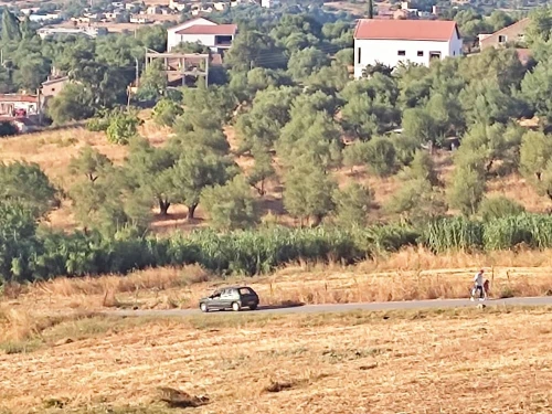 Vente Terrain Tizi ouzou Azazga