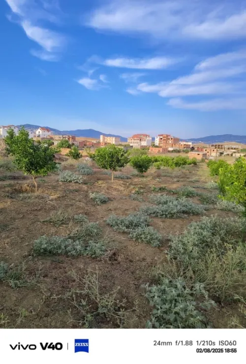 Vente Terrain Tizi Ouzou Timizart