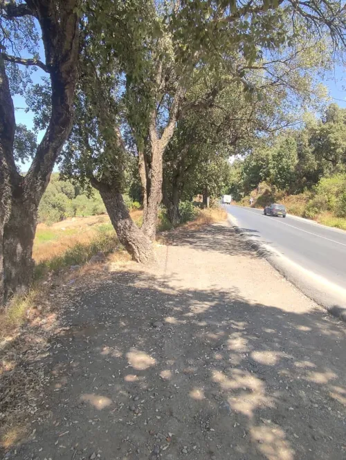 Vente Terrain Tizi Ouzou Azazga