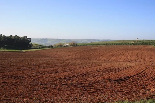 Vente Terrain Aïn Témouchent Ouled boudjemaa