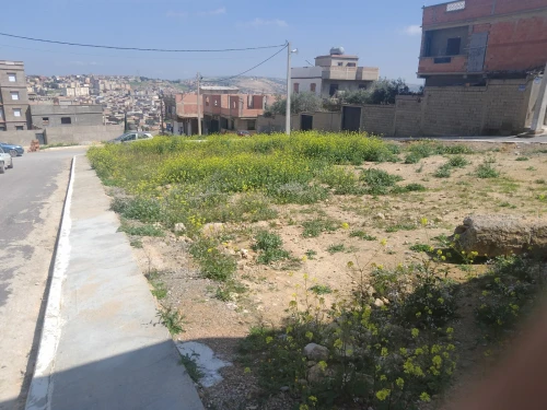 Vente Terrain Relizane Mazouna