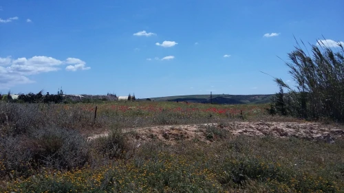 Vente Terrain Agricole Oran Ain el kerma
