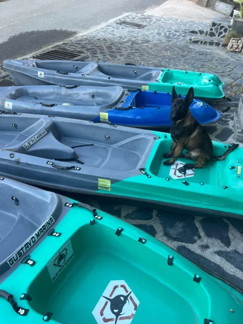 KAYAKS EXCELLENT ETAT 2 PLACES et 1 PLACE