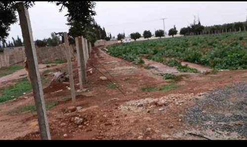 Vente Terrain Agricole Oran Misseghine