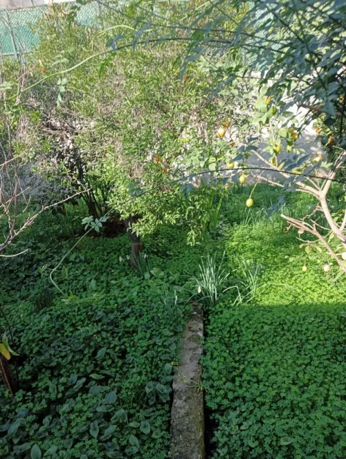 Vente Villa Alger Kouba