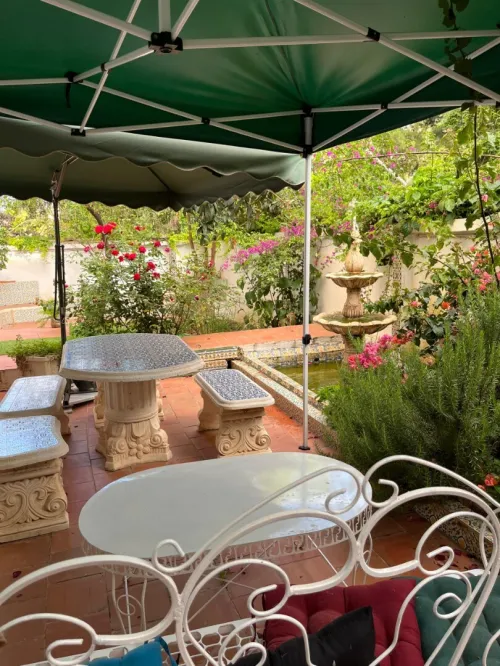Location Appartement Duplex F5 Alger El biar