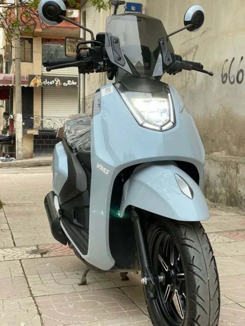 Vms Gemma 2025