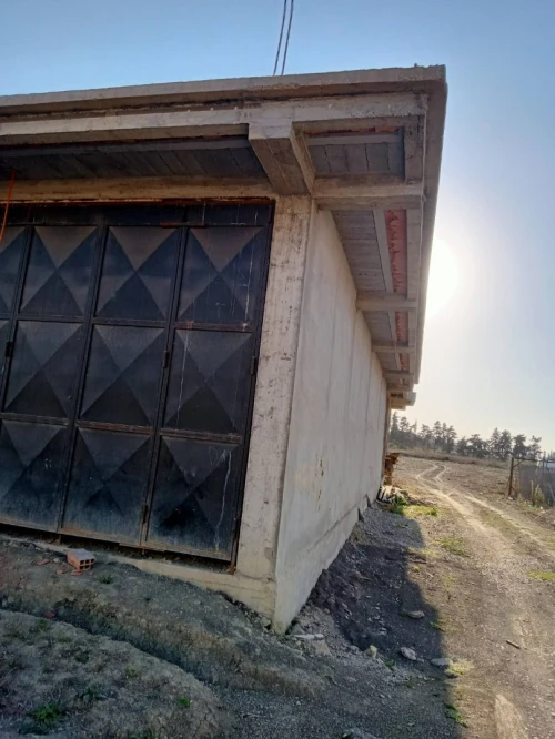 Location Hangar Blida Blida