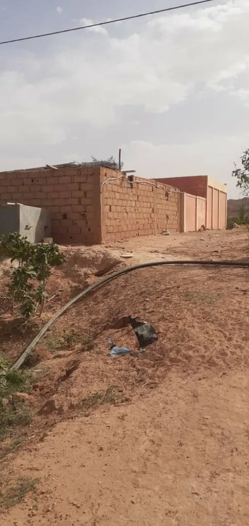 Location Local Naama Ain sefra