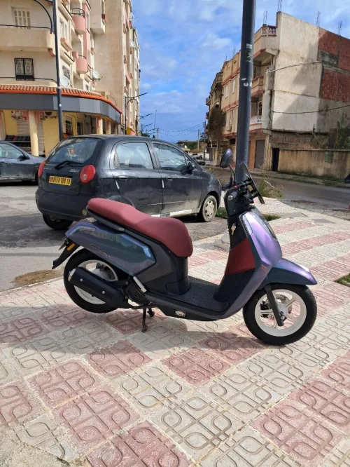 Vms Gemma 2025