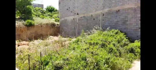 Vente Terrain Tlemcen Honaine