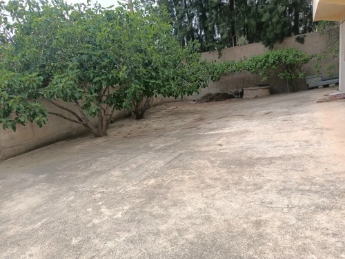 Vente Villa Constantine El khroub