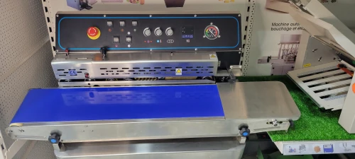 Machine sous-vide FRM-980