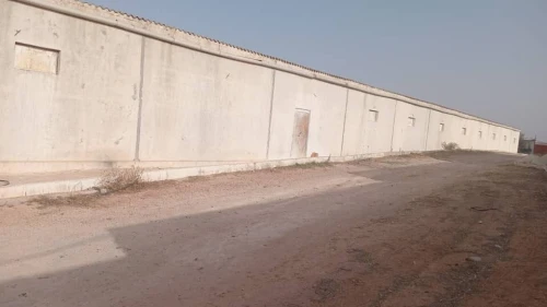 Vente Terrain Agricole Aïn Témouchent El amria
