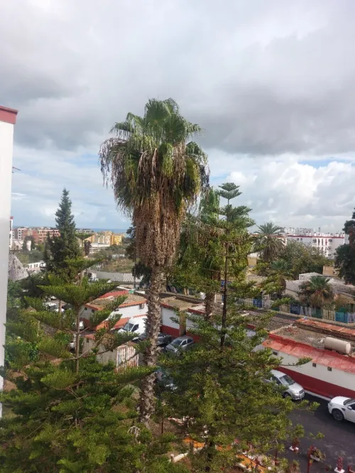 Location Appartement F2 Alger Kouba