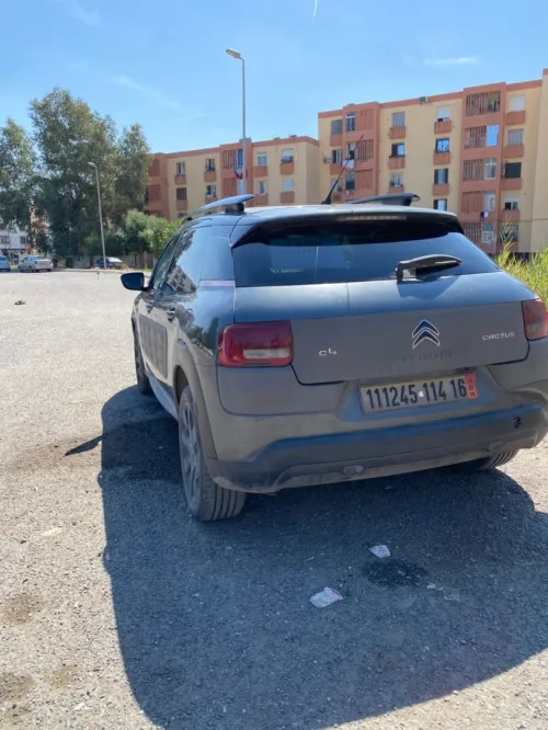 Citroen C4 Cactus 2014 