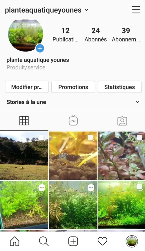 نباتات مائية طبيعية خاصة بالاحواض   plante aquatique aquarium 
