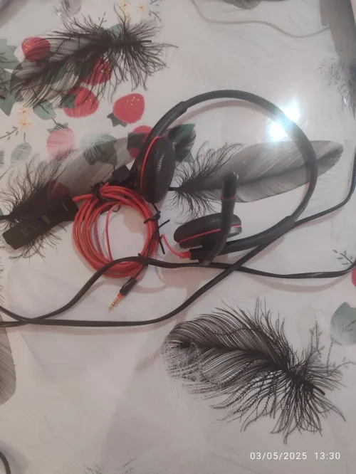 Casque planteonics