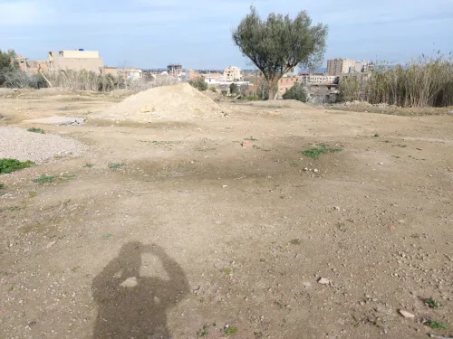 Vente Terrain Tlemcen Tlemcen