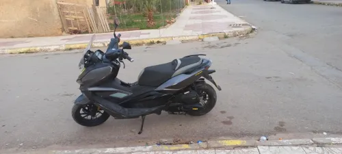 V max V max 2024