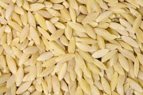 Pastille/moule/ filières bronze teflon production de pâtes alimentaires باستي/باستيل رشتة مقرونة