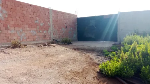 Location Terrain Oran Hassi bounif