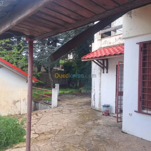 Location vacances Villa Blida Chrea