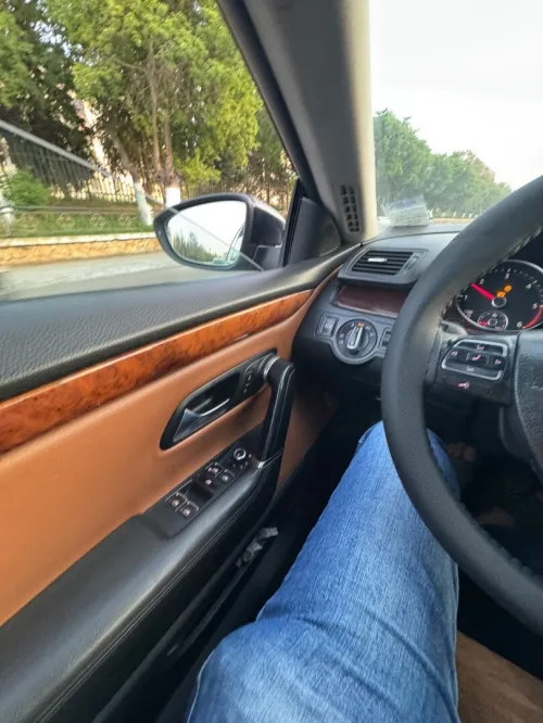 Volkswagen Passat CC 2010 Passat CC