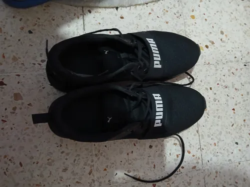 Puma