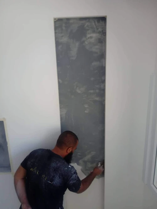 Rénovation : Placo  plâtre , peinture décorative, électricités 