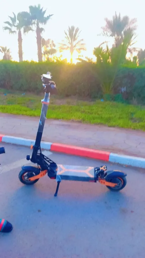 Trotinettes electrique 