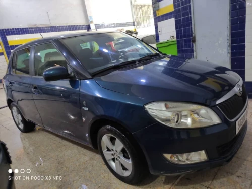 Skoda Fabia 2014 Fresh