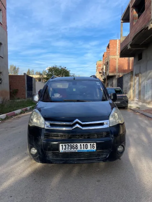 Citroen Berlingo 2010 Berlingo