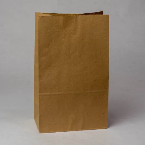 Sac 1kg 2 kg en papier kraft 