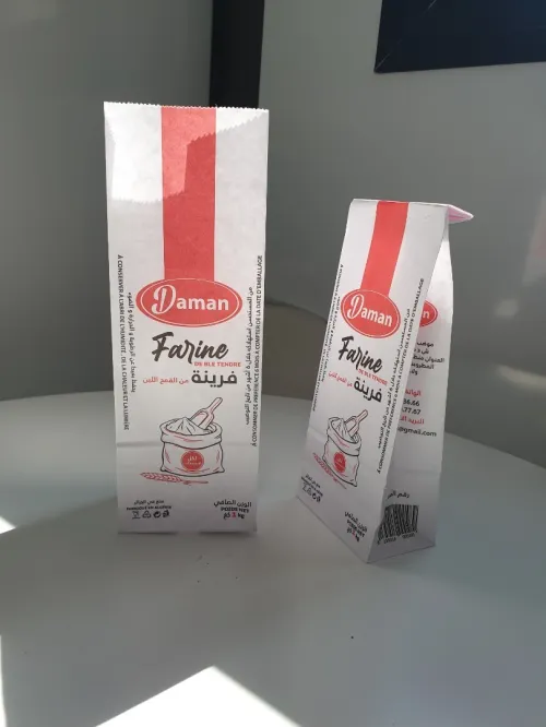 Sac 1kg 2 kg en papier kraft 