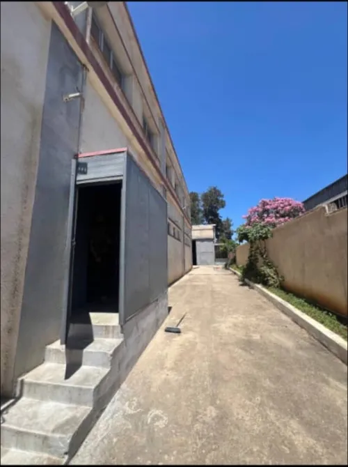 Vente Hangar - Usine Alger Rouiba