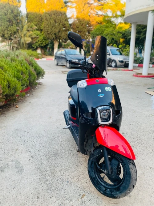 Vms X estate 2022