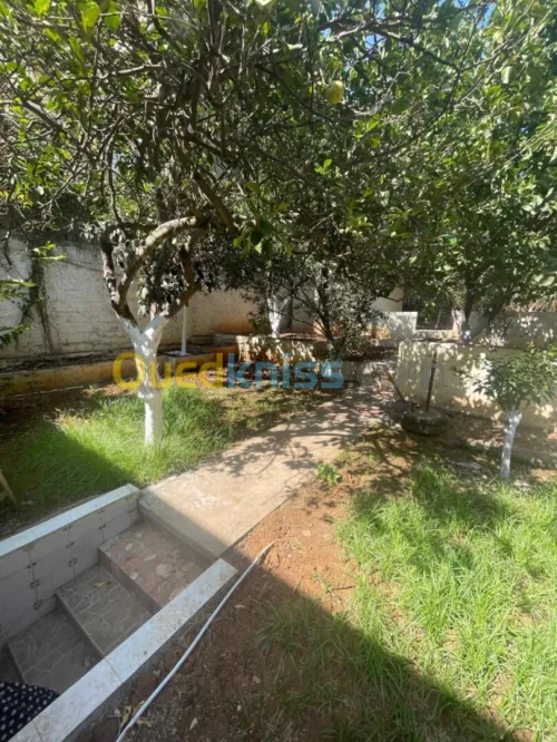 Location Villa Alger El mouradia