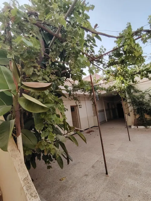 Vente bien immobilier Tlemcen Tlemcen