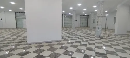 Location Hangar Blida Boufarik