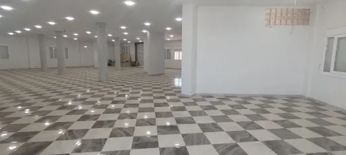 Location Hangar Blida Boufarik