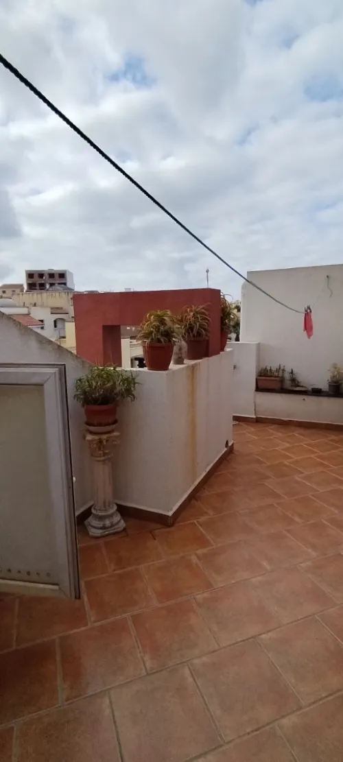 Location Appartement Alger Dely brahim