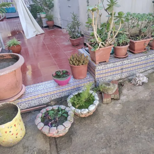 Vente Villa Guelma Oued zenati