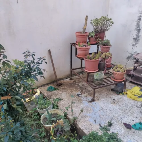 Vente Villa Guelma Oued zenati