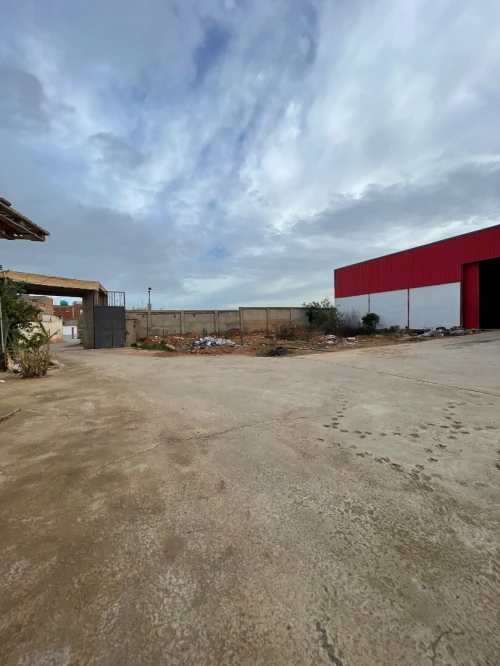Location Hangar - Usine Mostaganem Sayada