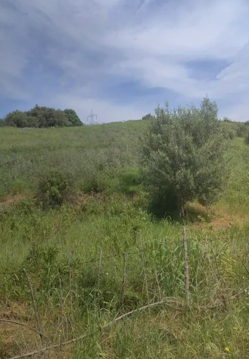 Vente Terrain Tizi Ouzou Sidi naamane