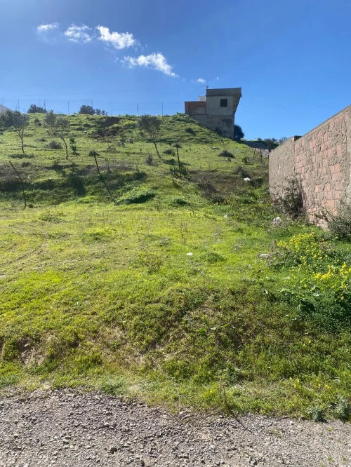 Vente Terrain Alger Mahelma