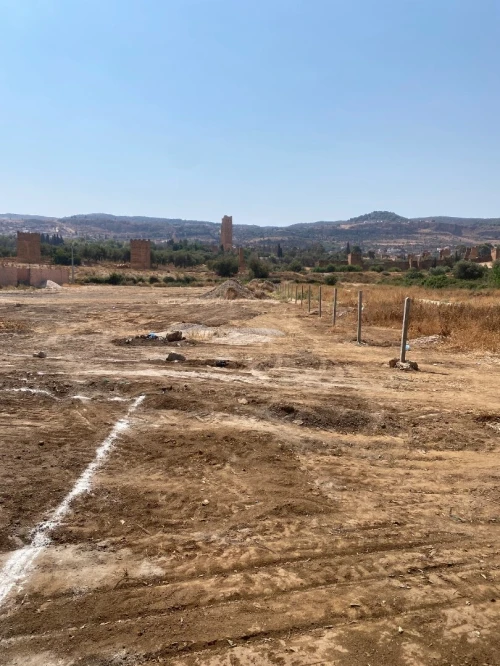 Vente Terrain Tlemcen Mansourah